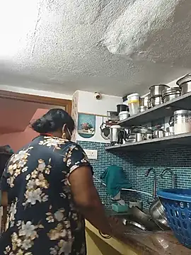 revathisree webcam