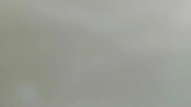 Bornforporn_ webcam