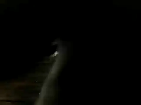 demiandem webcam stripchat model stream image