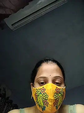 Hansikatelugu webcam