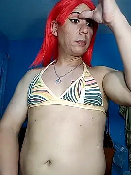DivinaTransStrella webcam