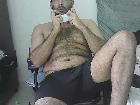 IronSideBear webcam