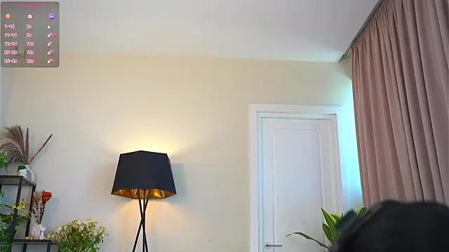 MaydaCornwall webcam