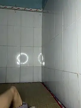 SINAW011 webcam