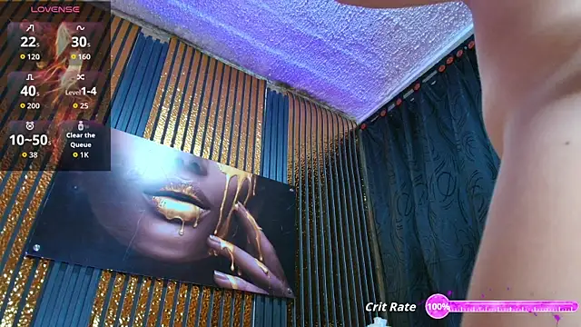 perfectmatch_ webcam