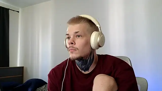 DENIS_HERE webcam