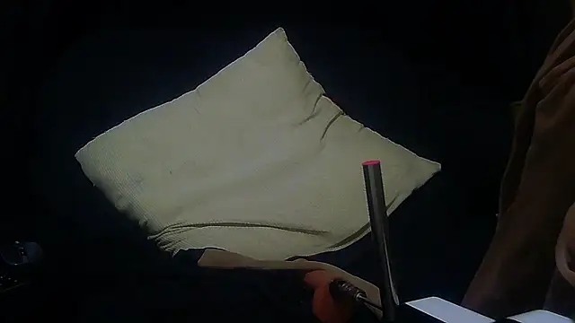 NuttingClone webcam