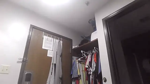 Lovemcurvy69