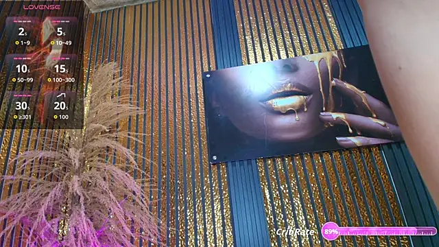 perfectmatch_ webcam