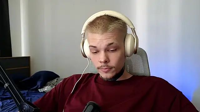 DENIS_HERE webcam