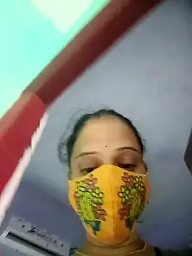 Hansikatelugu webcam