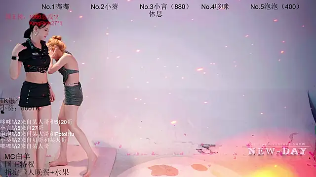 NEW-DAY webcam