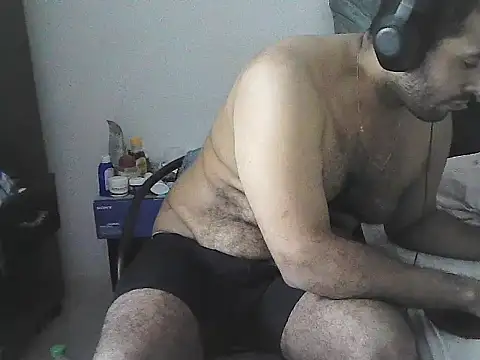 IronSideBear webcam