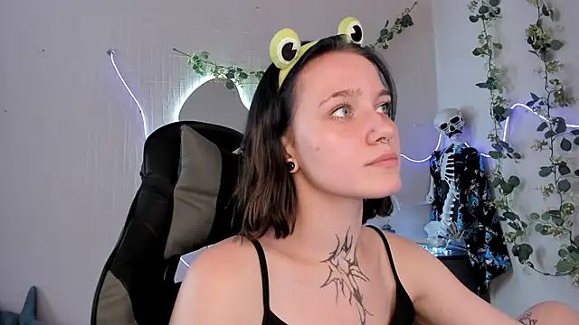 Elastikisss webcam