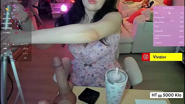 Vesagal webcam