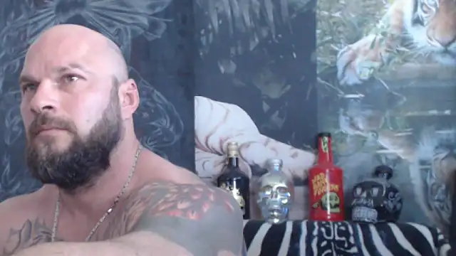 viking_30 webcam