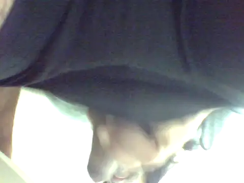 Purple2 webcam