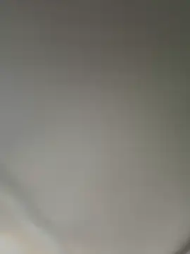 RinaCat webcam