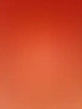 steve03200 webcam