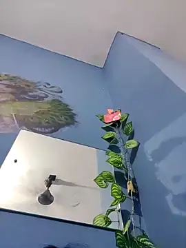 Koziekylie webcam