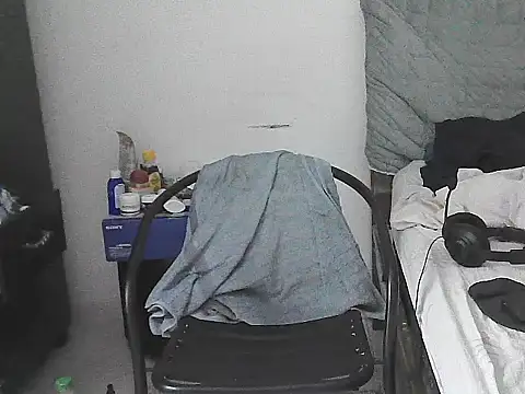 IronSideBear webcam