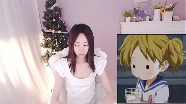 hall-33 webcam
