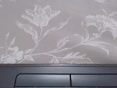 sweet-fancy webcam