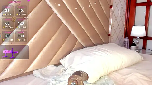 KaelSoft_ webcam