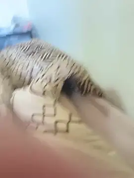 Big-dick562 webcam