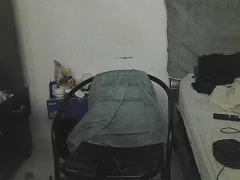 IronSideBear webcam