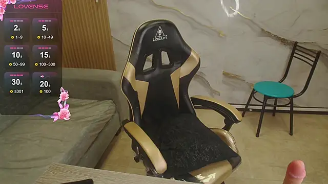 rox_luxury_tf webcam