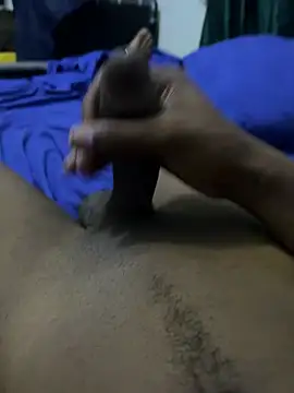 Dom0021 webcam