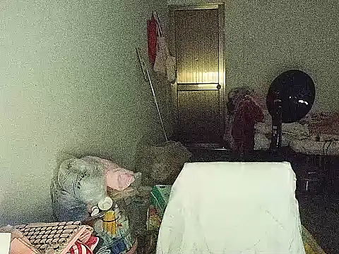 RebelAura webcam