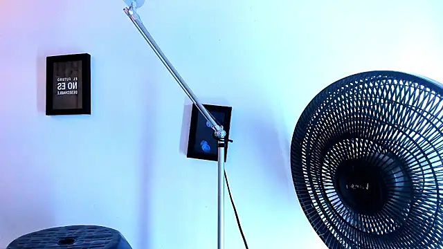 Pit_Ross webcam