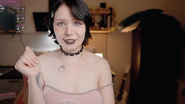 Nickari webcam