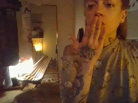 plsmecha webcam