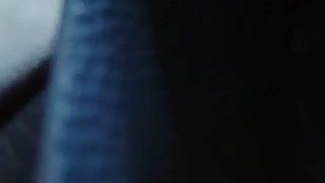 footlongpipebbc (G young) - nasty show