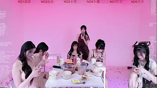 Yes-OK-1314 webcam