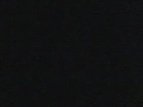 shugabaibe webcam