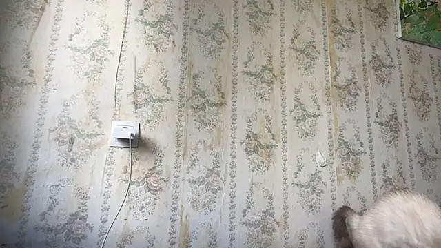 SusanaLeichty webcam