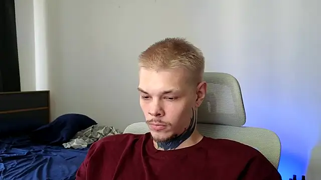 DENIS_HERE webcam