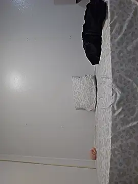 Edw95S webcam