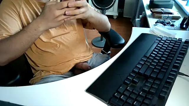 big-pig webcam