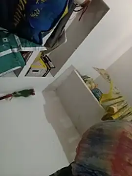 Payal950 webcam