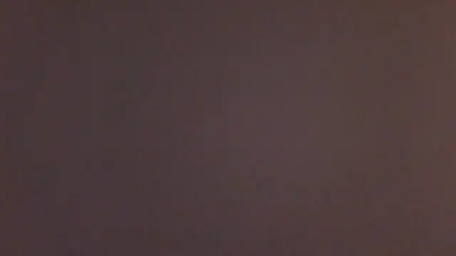 bold-smirthii webcam