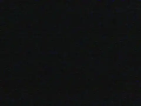 shugabaibe webcam