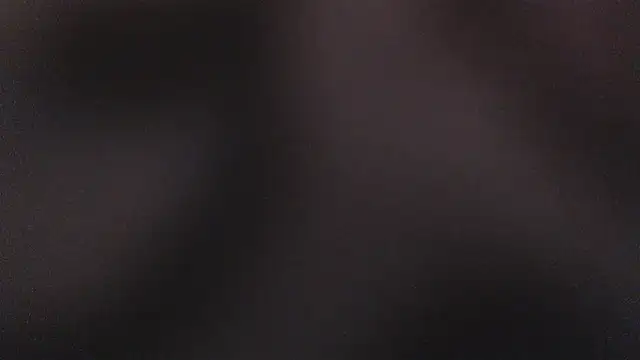 lelapopins webcam