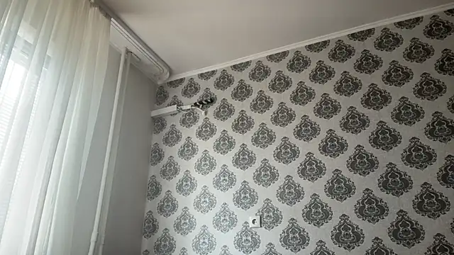 tomasdickpick webcam