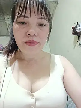 Sana-vn webcam