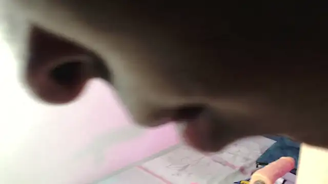 lucky_stricke webcam